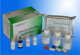 包虫IgG抗体检测试剂盒