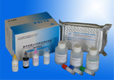 麻疹病毒IgG抗体检测试剂盒