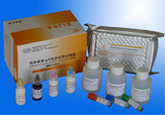 风疹病毒IgG抗体检测试剂盒