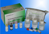 Ⅰ型和Ⅱ型单纯疱疹病毒IgM抗体检测试剂盒